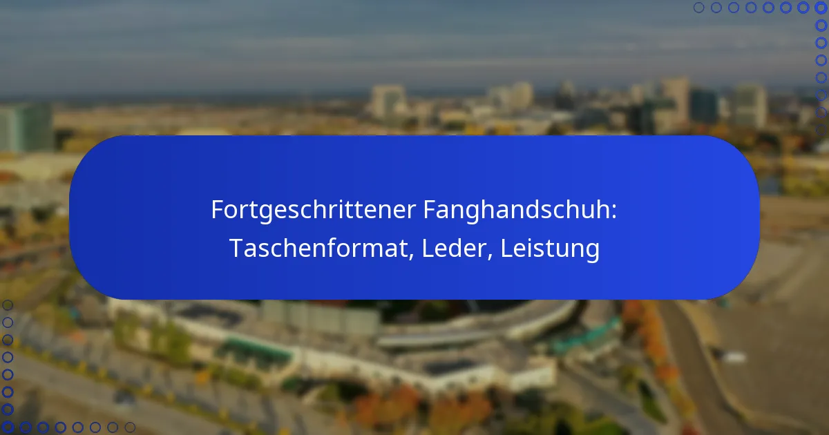 Fortgeschrittener Fanghandschuh: Taschenformat, Leder, Leistung