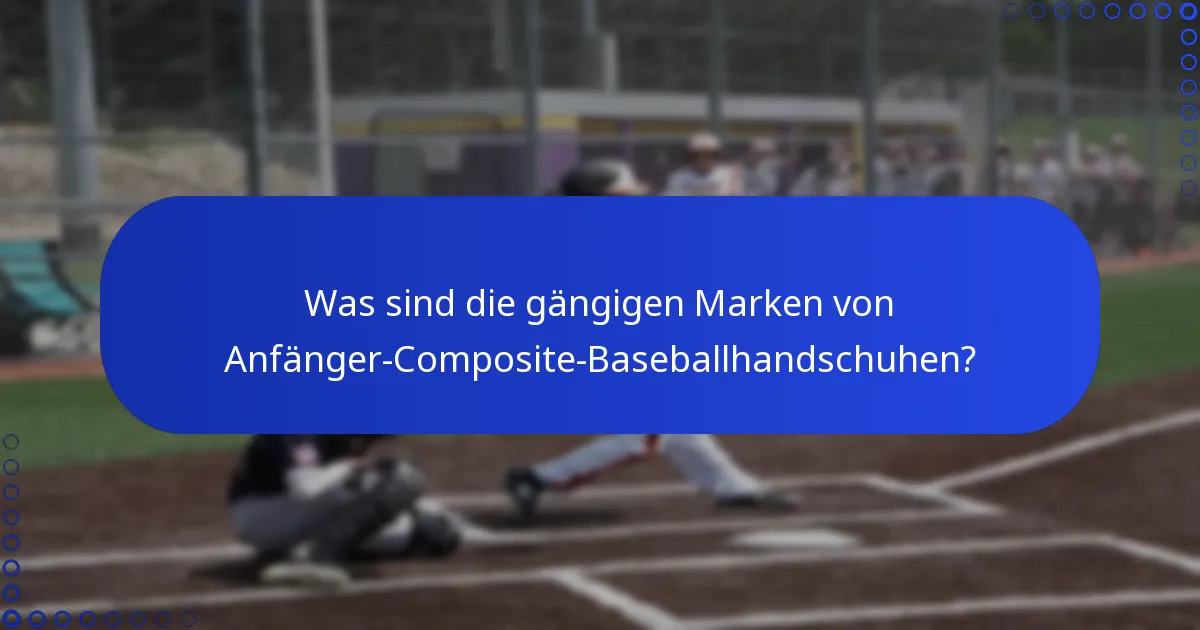 Was sind die gängigen Marken von Anfänger-Composite-Baseballhandschuhen?