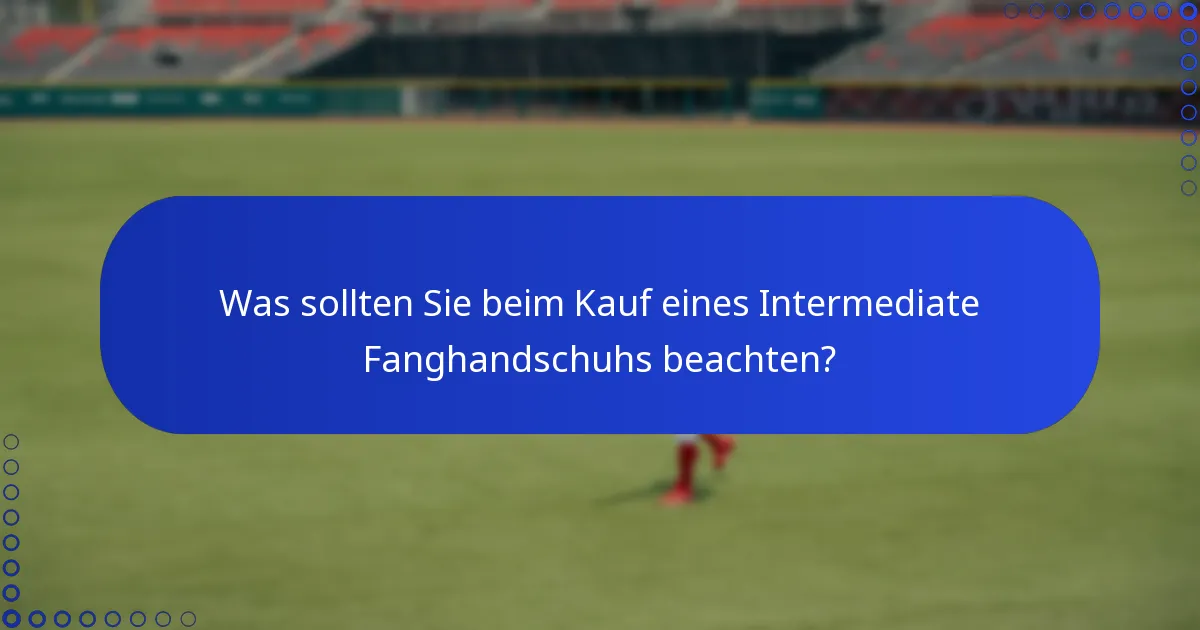 Was sollten Sie beim Kauf eines Intermediate Fanghandschuhs beachten?