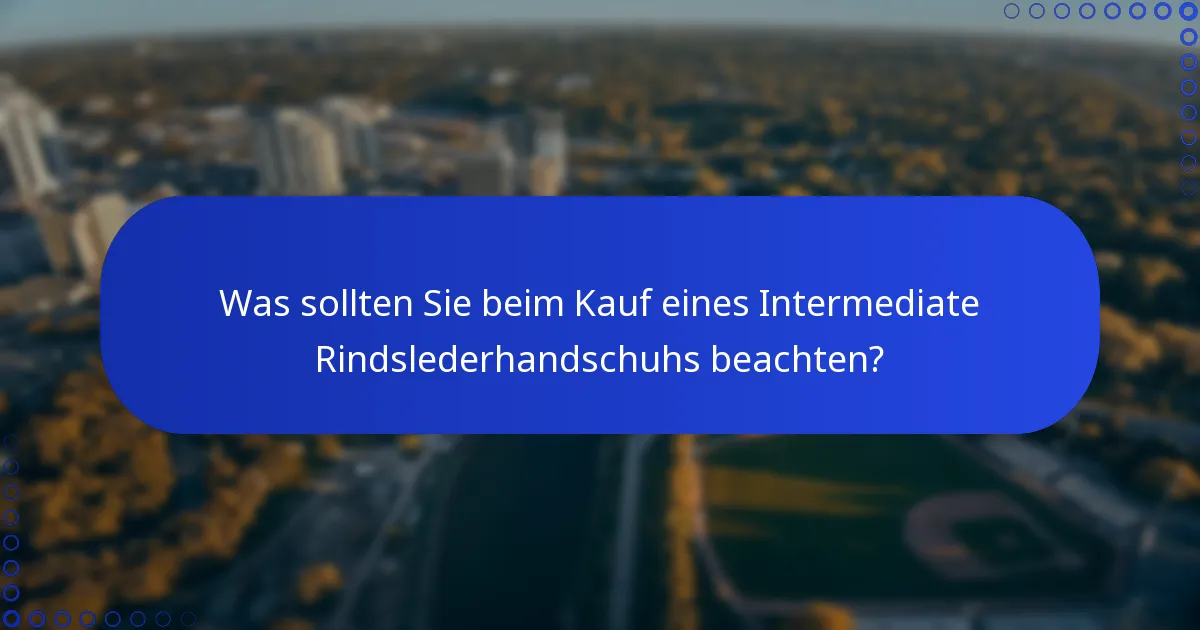 Was sollten Sie beim Kauf eines Intermediate Rindslederhandschuhs beachten?