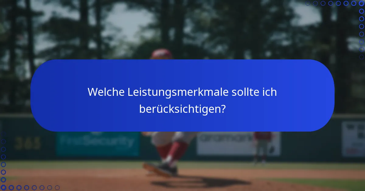 Welche Leistungsmerkmale sollte ich berücksichtigen?