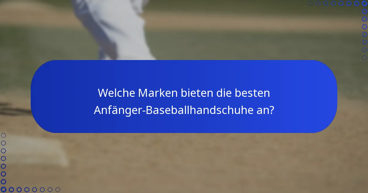 Welche Marken bieten die besten Anfänger-Baseballhandschuhe an?