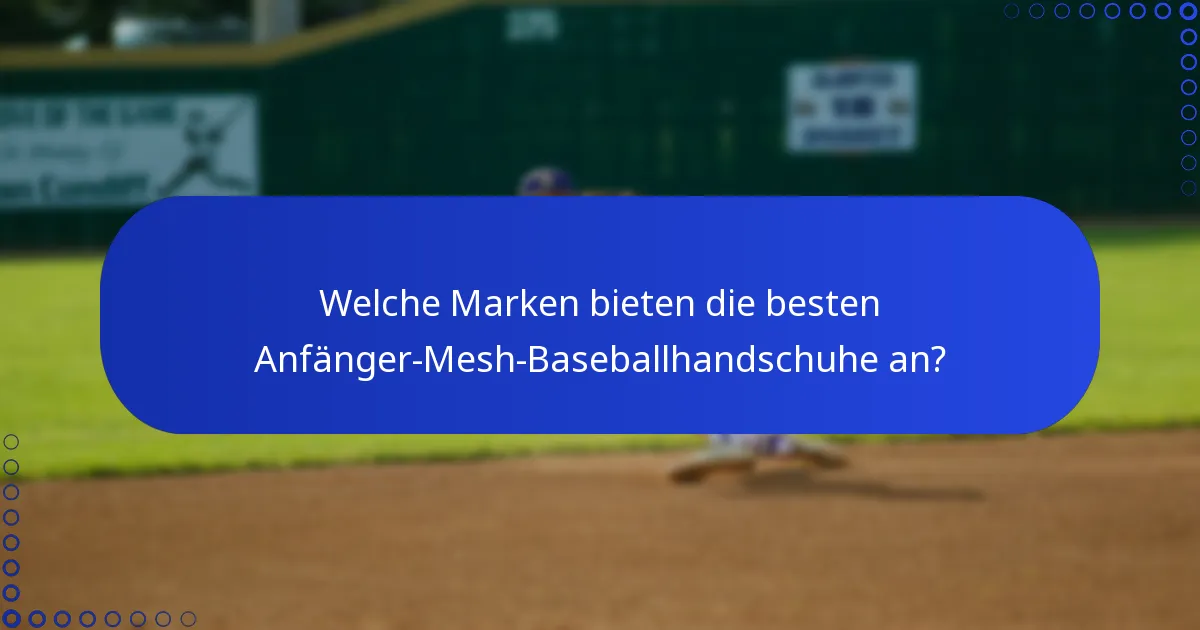 Welche Marken bieten die besten Anfänger-Mesh-Baseballhandschuhe an?