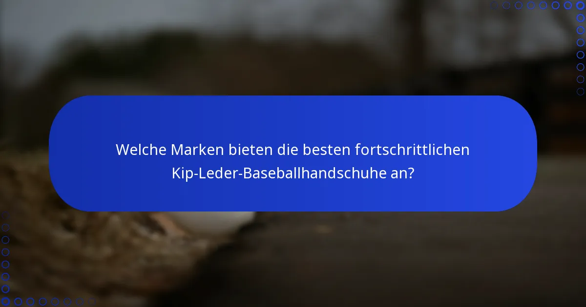 Welche Marken bieten die besten fortschrittlichen Kip-Leder-Baseballhandschuhe an?