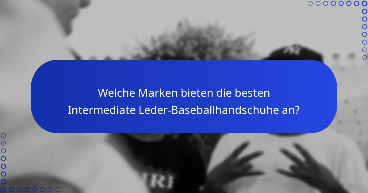 Welche Marken bieten die besten Intermediate Leder-Baseballhandschuhe an?