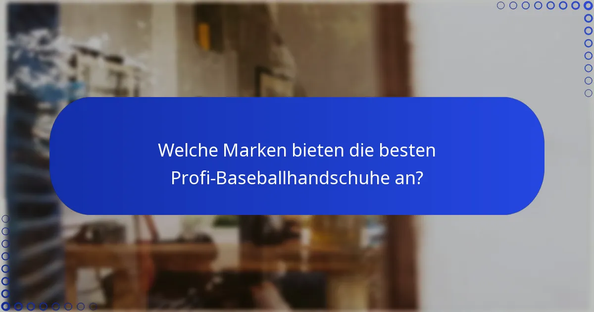 Welche Marken bieten die besten Profi-Baseballhandschuhe an?