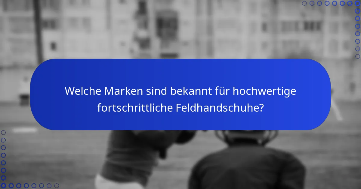Welche Marken sind bekannt für hochwertige fortschrittliche Feldhandschuhe?