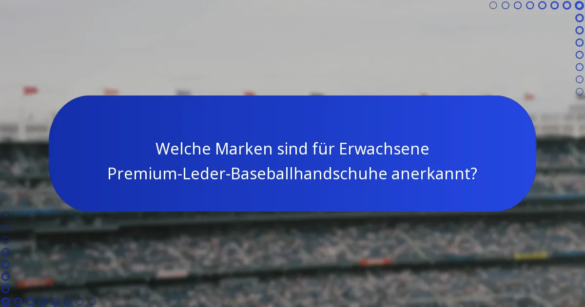 Welche Marken sind für Erwachsene Premium-Leder-Baseballhandschuhe anerkannt?