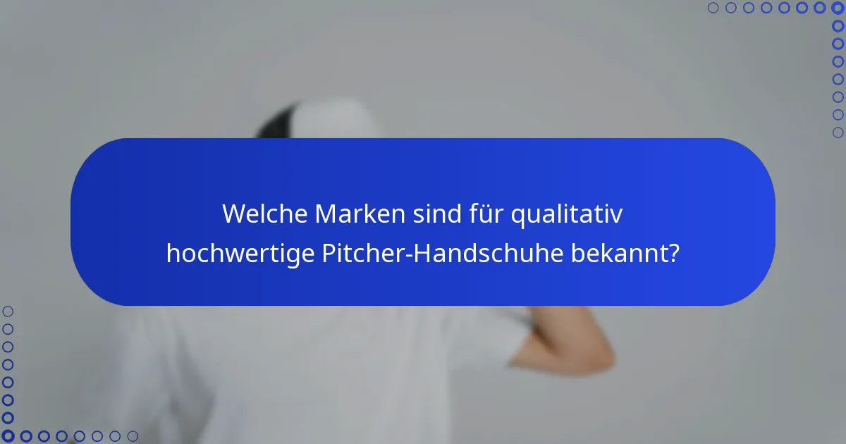 Welche Marken sind für qualitativ hochwertige Pitcher-Handschuhe bekannt?