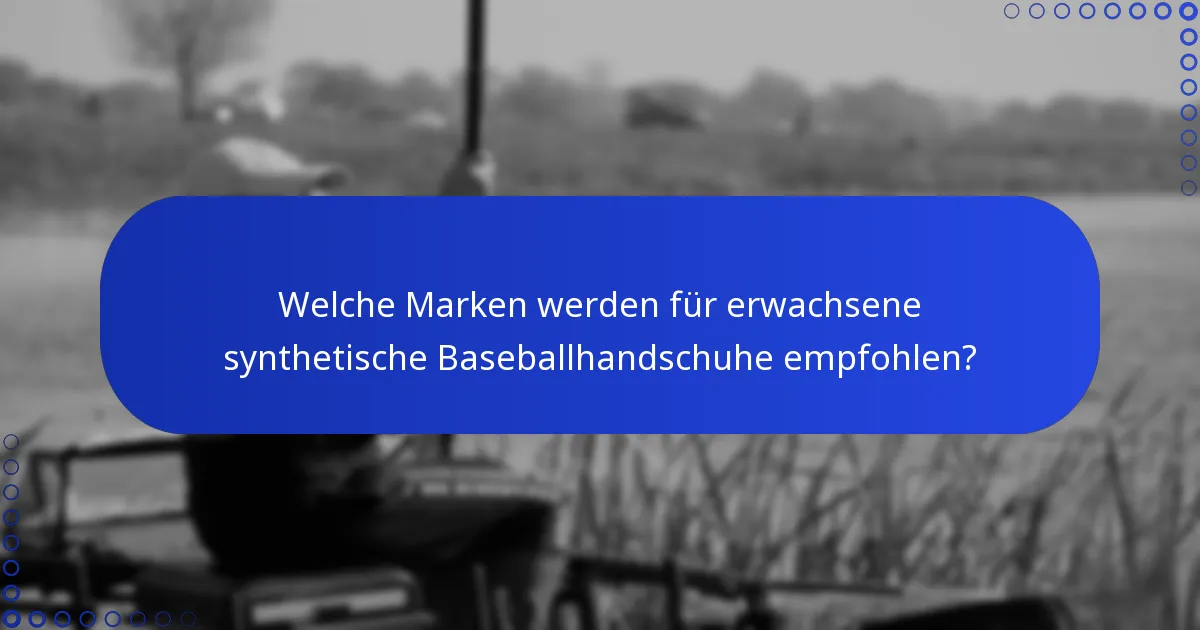 Welche Marken werden für erwachsene synthetische Baseballhandschuhe empfohlen?