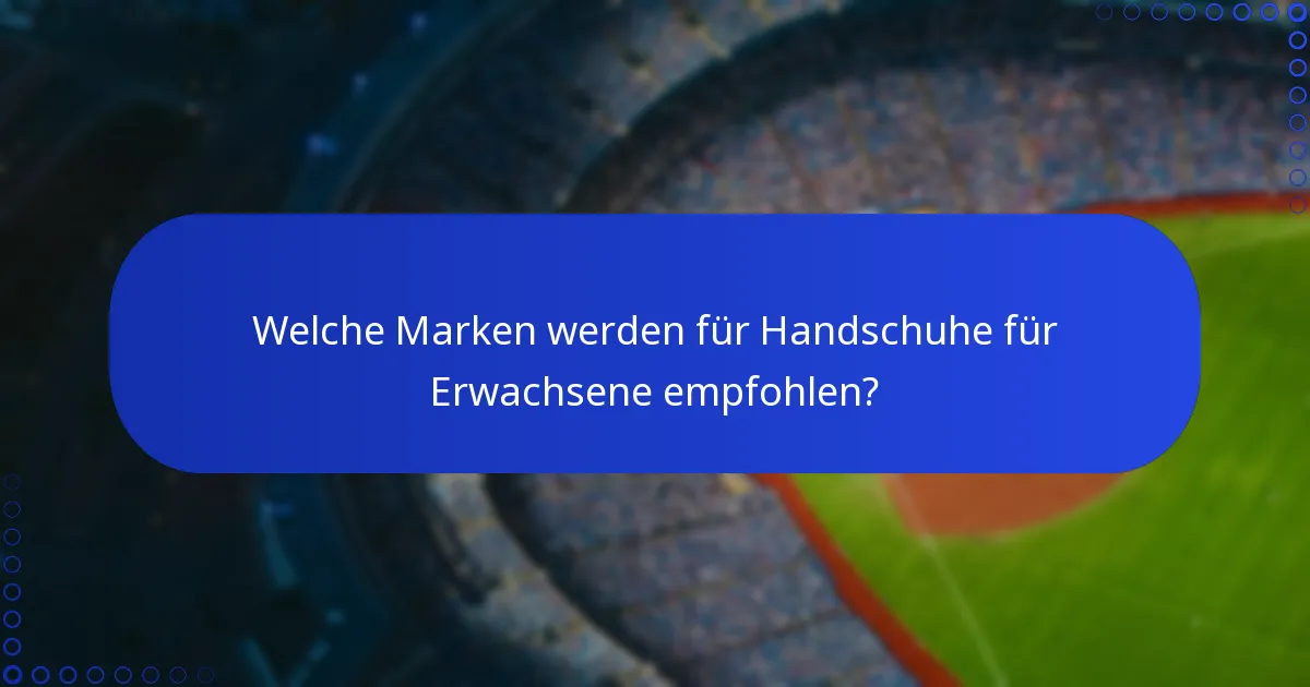 Welche Marken werden für Handschuhe für Erwachsene empfohlen?