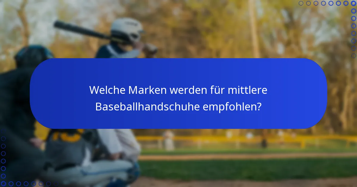 Welche Marken werden für mittlere Baseballhandschuhe empfohlen?