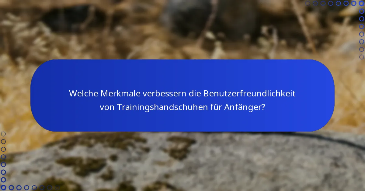 Welche Merkmale verbessern die Benutzerfreundlichkeit von Trainingshandschuhen für Anfänger?