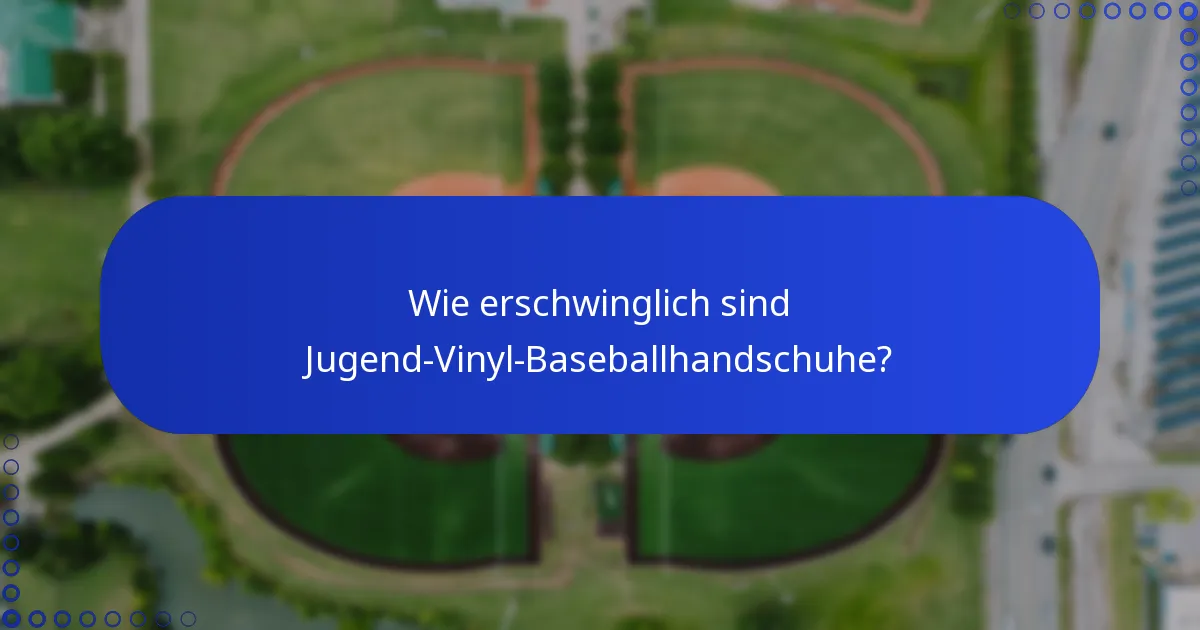 Wie erschwinglich sind Jugend-Vinyl-Baseballhandschuhe?