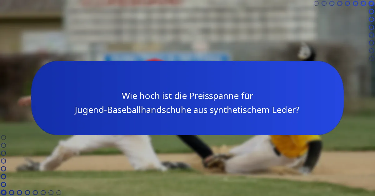 Wie hoch ist die Preisspanne für Jugend-Baseballhandschuhe aus synthetischem Leder?