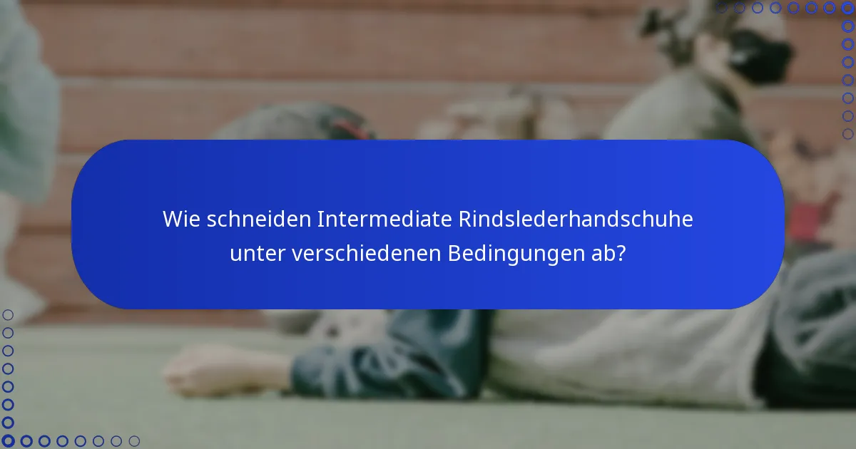 Wie schneiden Intermediate Rindslederhandschuhe unter verschiedenen Bedingungen ab?